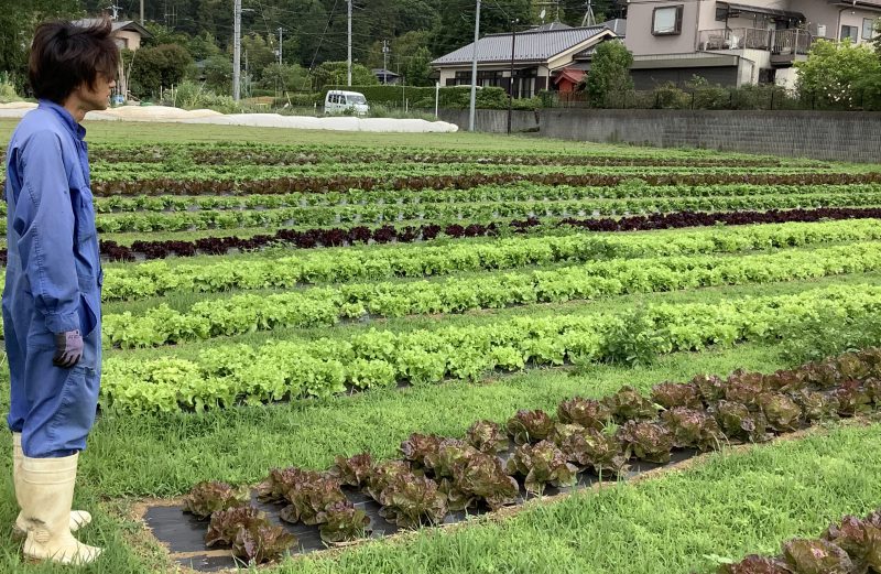 2019年7月の営業につきまして