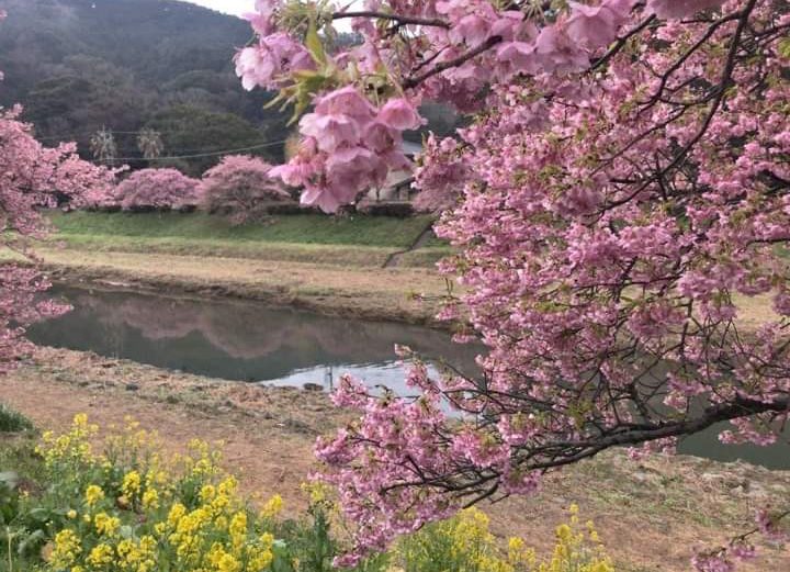 2020年3月の営業につきまして