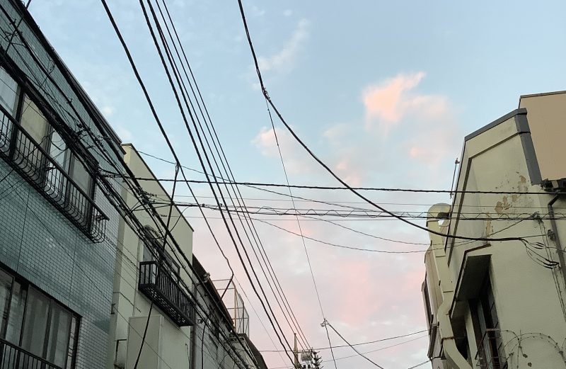 05/07/2025 臨時休業、06/07/2025 店休日致します。申し訳ございません